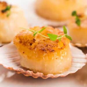 Divers Scallops – U10 Dry