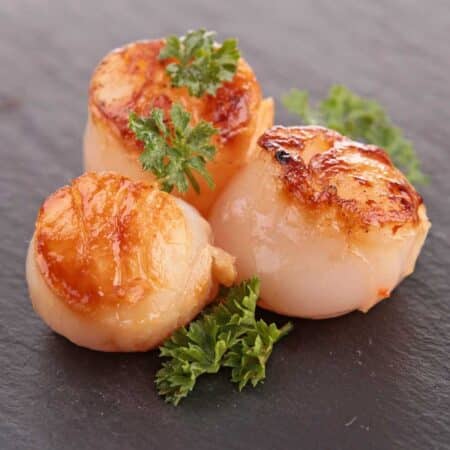 Divers Scallops – U10 Dry