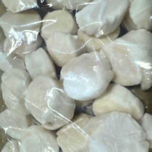 Divers Scallops – U10 Dry