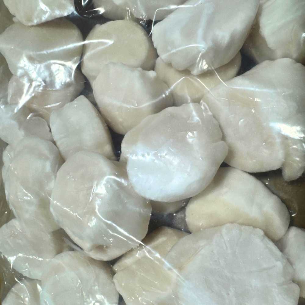 Divers Scallops – U10 Dry