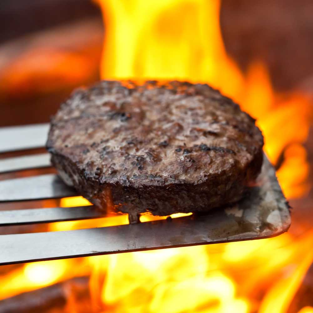Buffalo Burgers