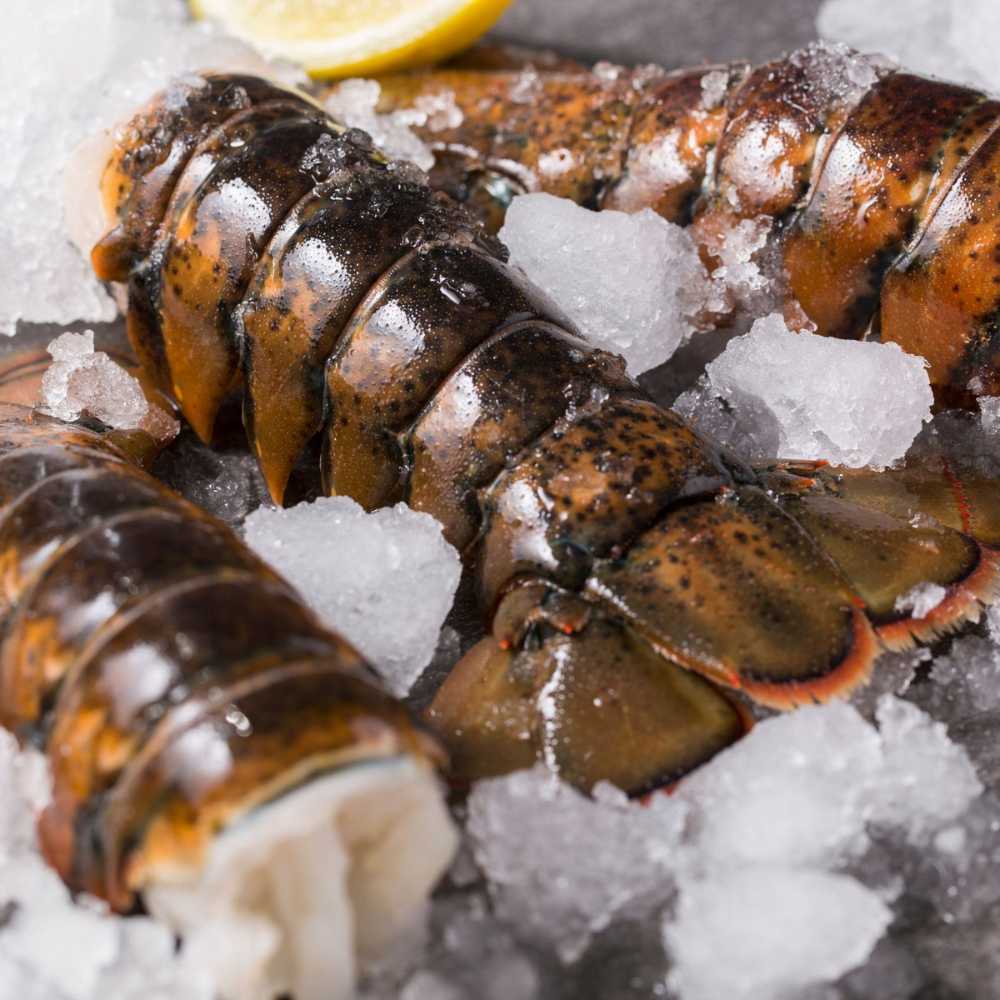 Lobster Tails