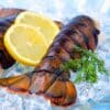Lobster Tails (Maine Cold Water) - 12/14oz Tails