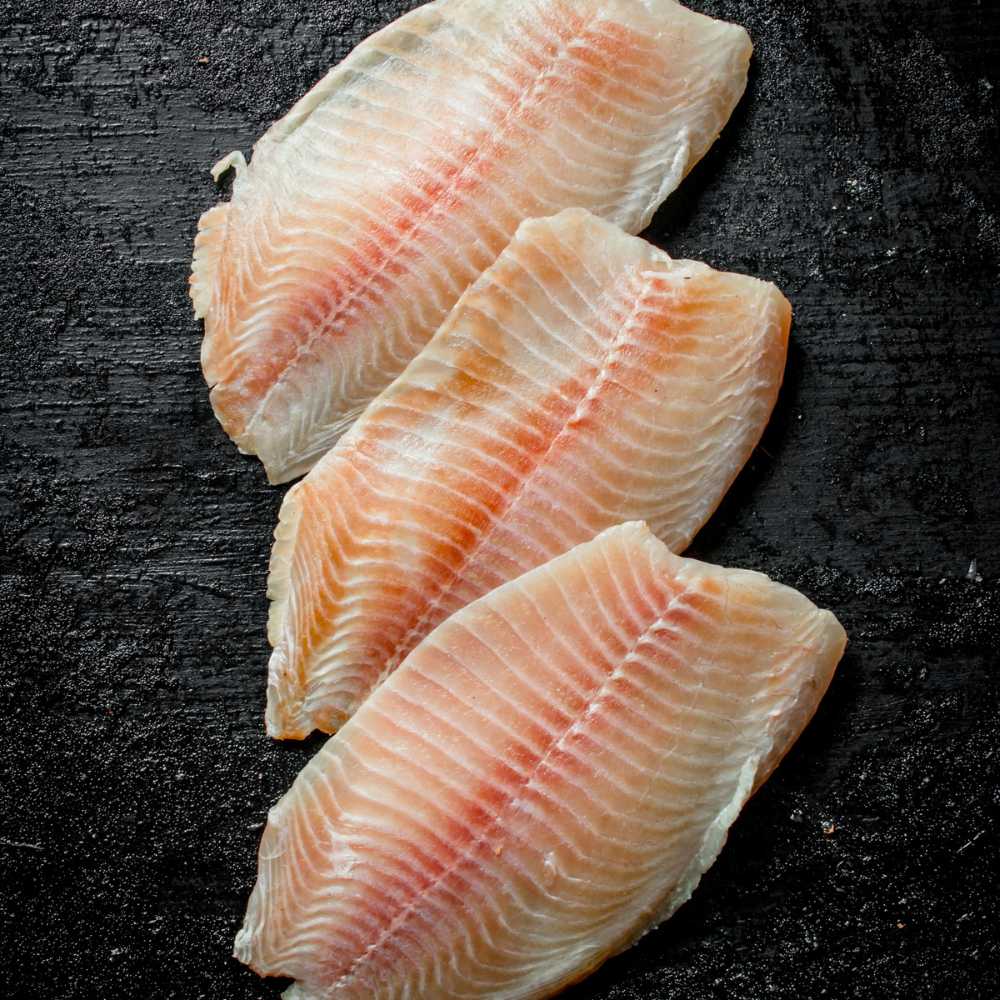 Tilapia