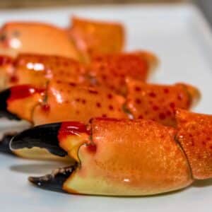 Florida Stone Crab Claws
