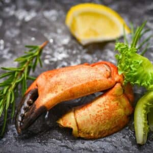 Florida Stone Crab Claws