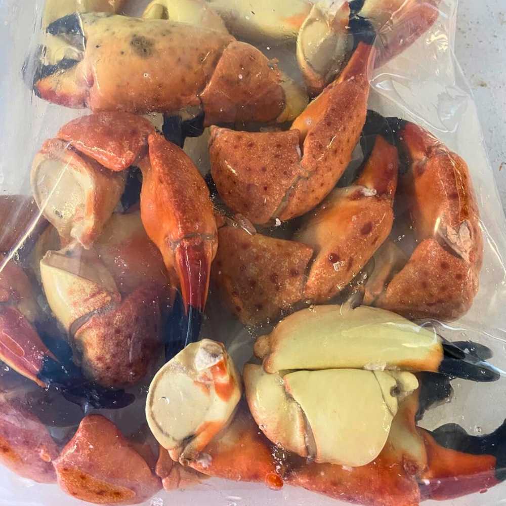 Florida Stone Crab Claws