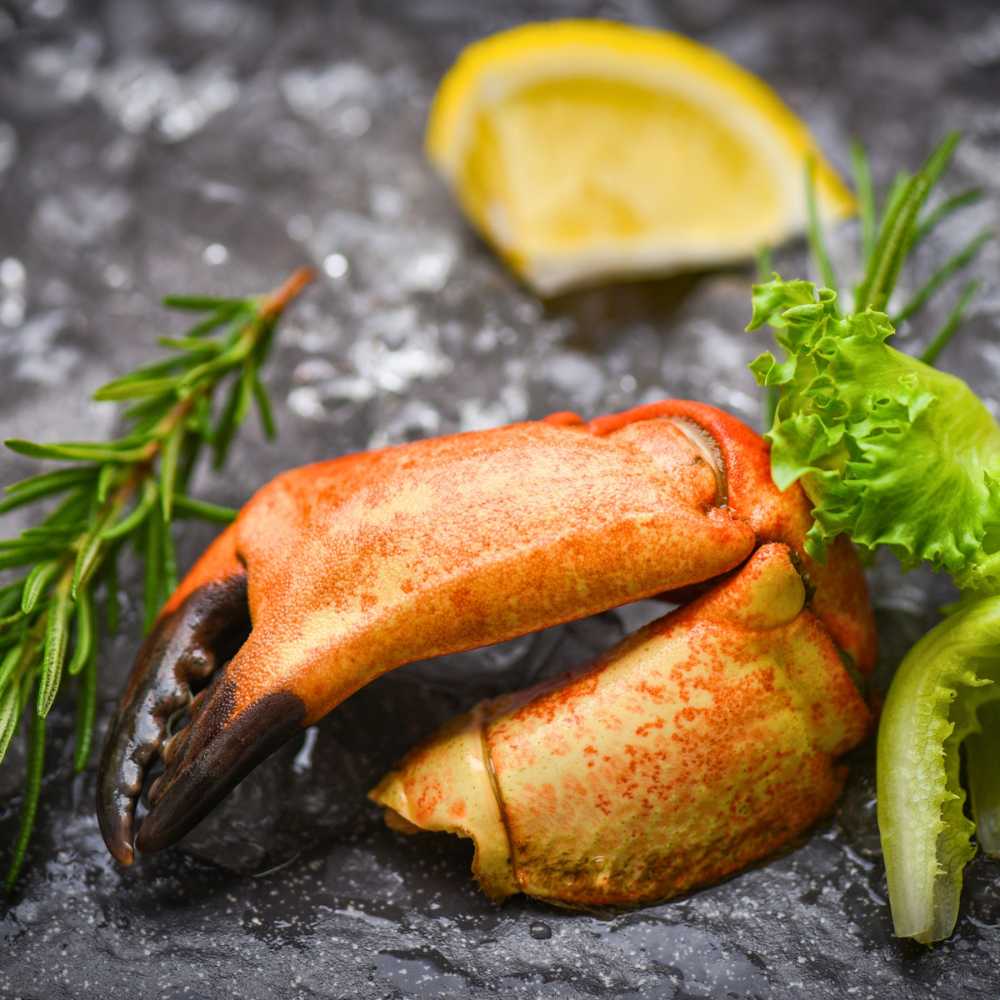 Florida Stone Crab Claws