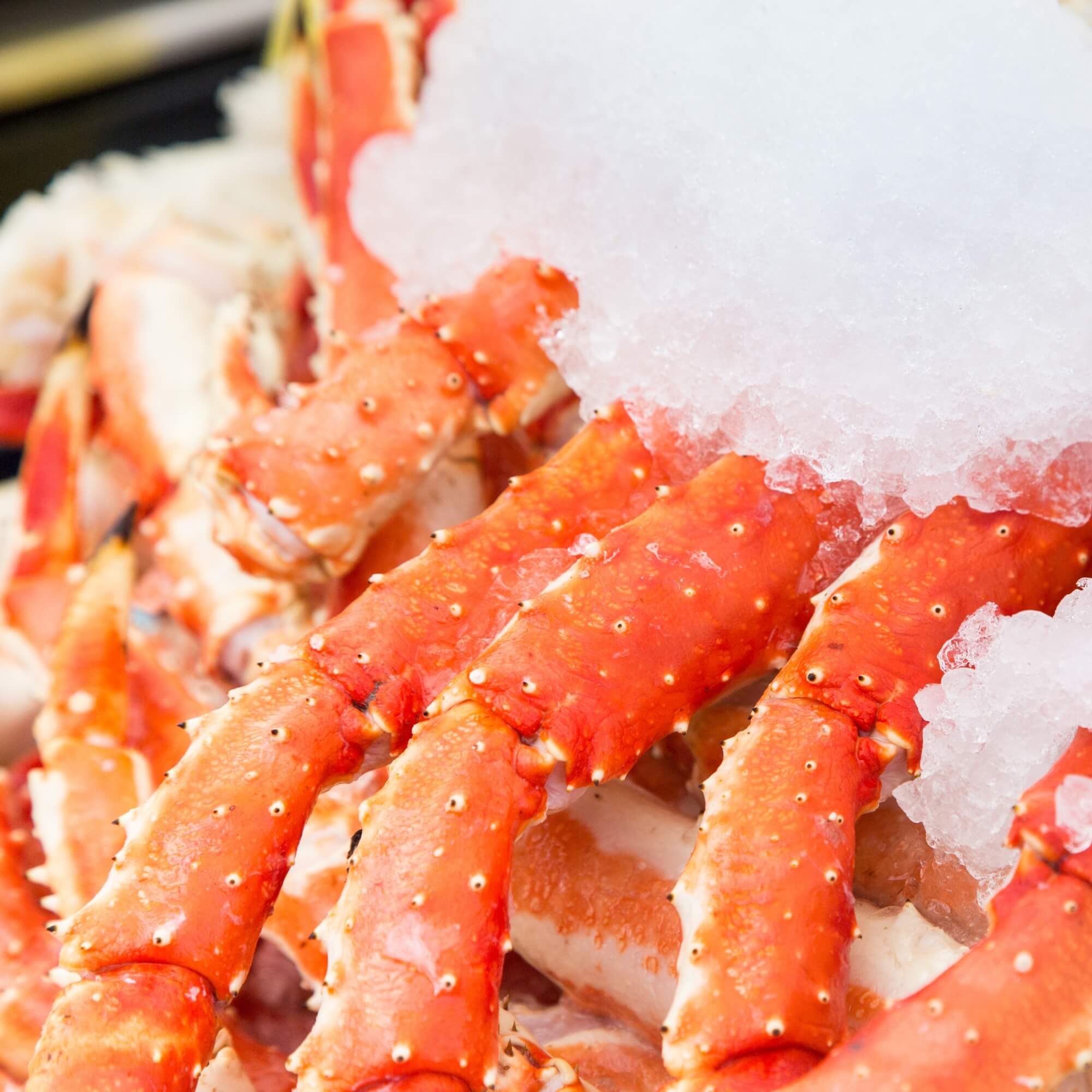 Today Gourmet Red King Crab Legs