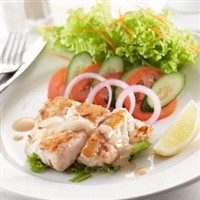 Grouper - 5oz (5lb Pkg)