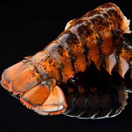 Lobster Tails