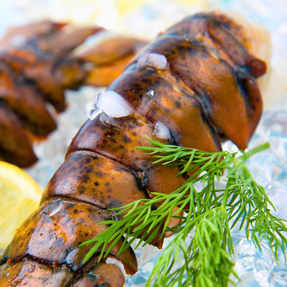 Lobster Tails
