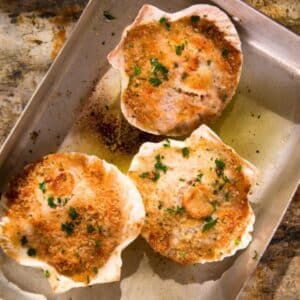 Stuffed Scallops