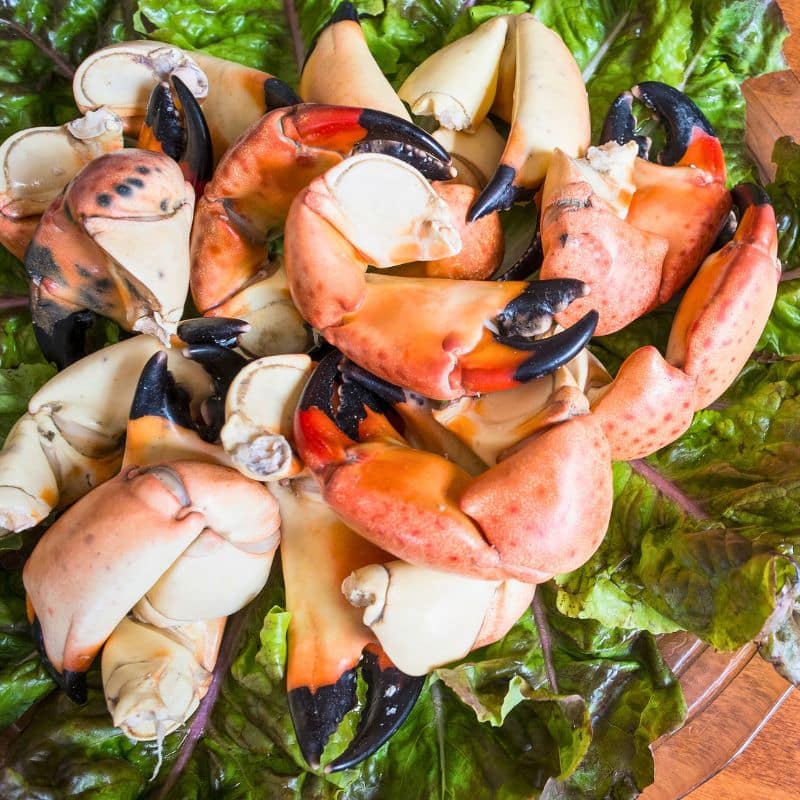 Fresh Seafood